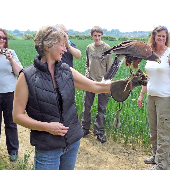 Private group falconry experience at Bird on the Hand 